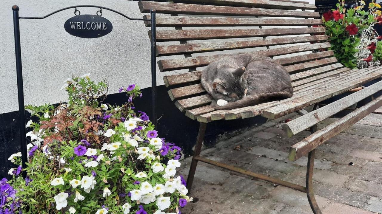 Rustiek Andijk B&B 외부 사진